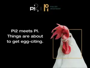 Poultry Investment is accelerating its regional expansion and has selected the Pi2 agency as its communications partner